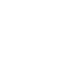 TV Advertisement
