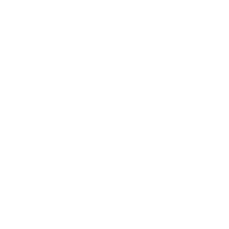 Search Engine Optimization (SEO) 